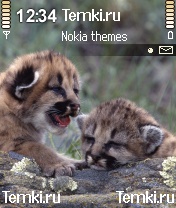 Малыши для Nokia N72