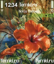 Красный цветок для Nokia N90