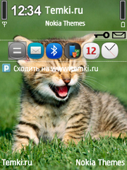 Котенок для Nokia 5730 XpressMusic