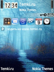 Холодный путь для Nokia 6110 Navigator