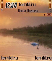 Лебедь для Nokia N70