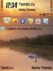 Лебедь для Nokia 6220 classic