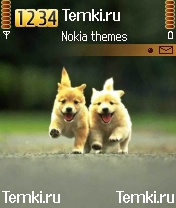 Щеночки для Nokia N72