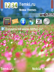 Цветы для Nokia 5500