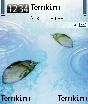 Листья в лужице для Nokia 6682