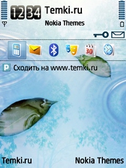 Листья в лужице для Nokia E90
