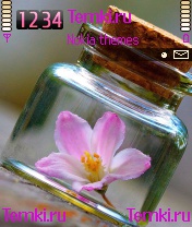 Розовый Цветок для Nokia N72
