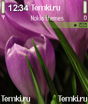 Тюльпаны для Nokia 6260