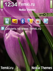 Тюльпаны для Nokia 6120