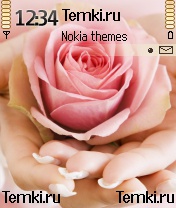 Роза В Руках для Nokia N72