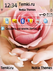 Роза В Руках для Nokia 6790 Surge