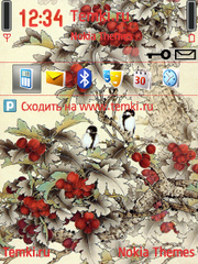 Синички для Nokia N93