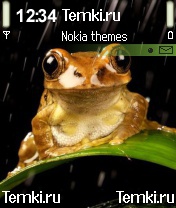 Лягушечка для Nokia 7610