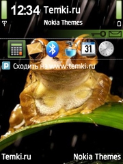 Лягушечка для Nokia N95