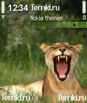 Я злой и страшный для Nokia 3230