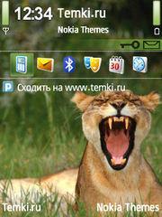 Я злой и страшный для Nokia 3250