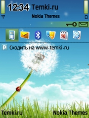 Одуванчик для Nokia 6760 Slide
