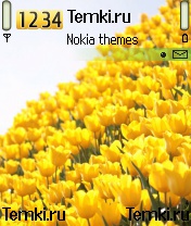 Желтые тюльпаны для Nokia 3230