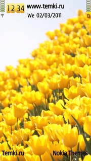 Желтые тюльпаны для Sony Ericsson Idou