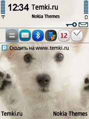 Собачка для Nokia N78