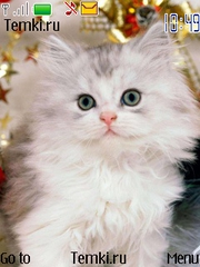 Котенок в рождество для Nokia 7900 Prism