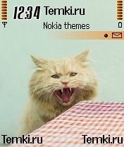 Кошак за столом для Nokia 6680