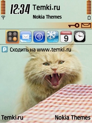 Кошак за столом для Nokia N76
