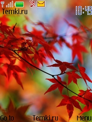Красные листья для Nokia 6600i slide