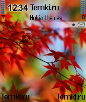 Красные листья для Nokia N72