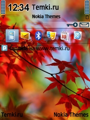 Красные листья для Nokia 6790 Slide