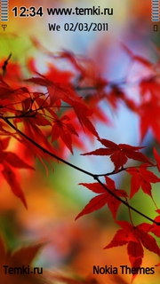 Красные листья для Nokia X6 8GB