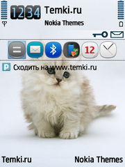 Котенок для Nokia E75