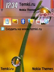 Капельки росы для Nokia C5-00 5MP