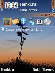 Ночной Цветок для Nokia 6790 Surge
