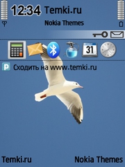 Одинокая чайка для Nokia 6210 Navigator