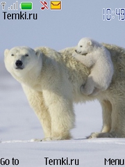 Медвежонок с мамой для Nokia 6260 slide