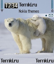 Медвежонок с мамой для Nokia 6680