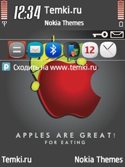 Apple и Android для Nokia N79