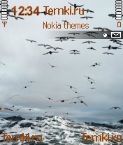 Птицы для Nokia 3230