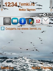 Птицы для Nokia 5320 XpressMusic