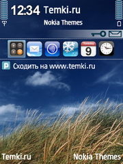 Поле для Nokia N80