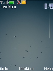 Птицы в небе для Nokia 6750 Mural