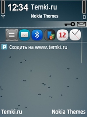 Птицы в небе для Nokia 6790 Slide