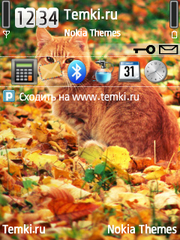 Рыжий кот для Samsung i7110