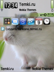 Крысенок для Nokia 6730 classic