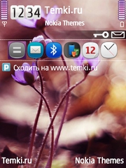 Цветы для Nokia N79