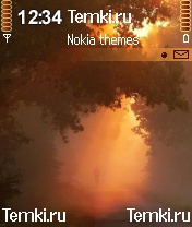Одиночество для Nokia N90