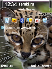 Глазастая кошка для Nokia E71