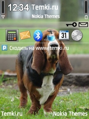 Бассет для Nokia N92