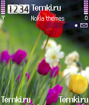 Цветы для Nokia N70